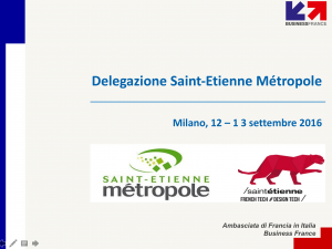 Delegazione Saint-Etienne Metropole